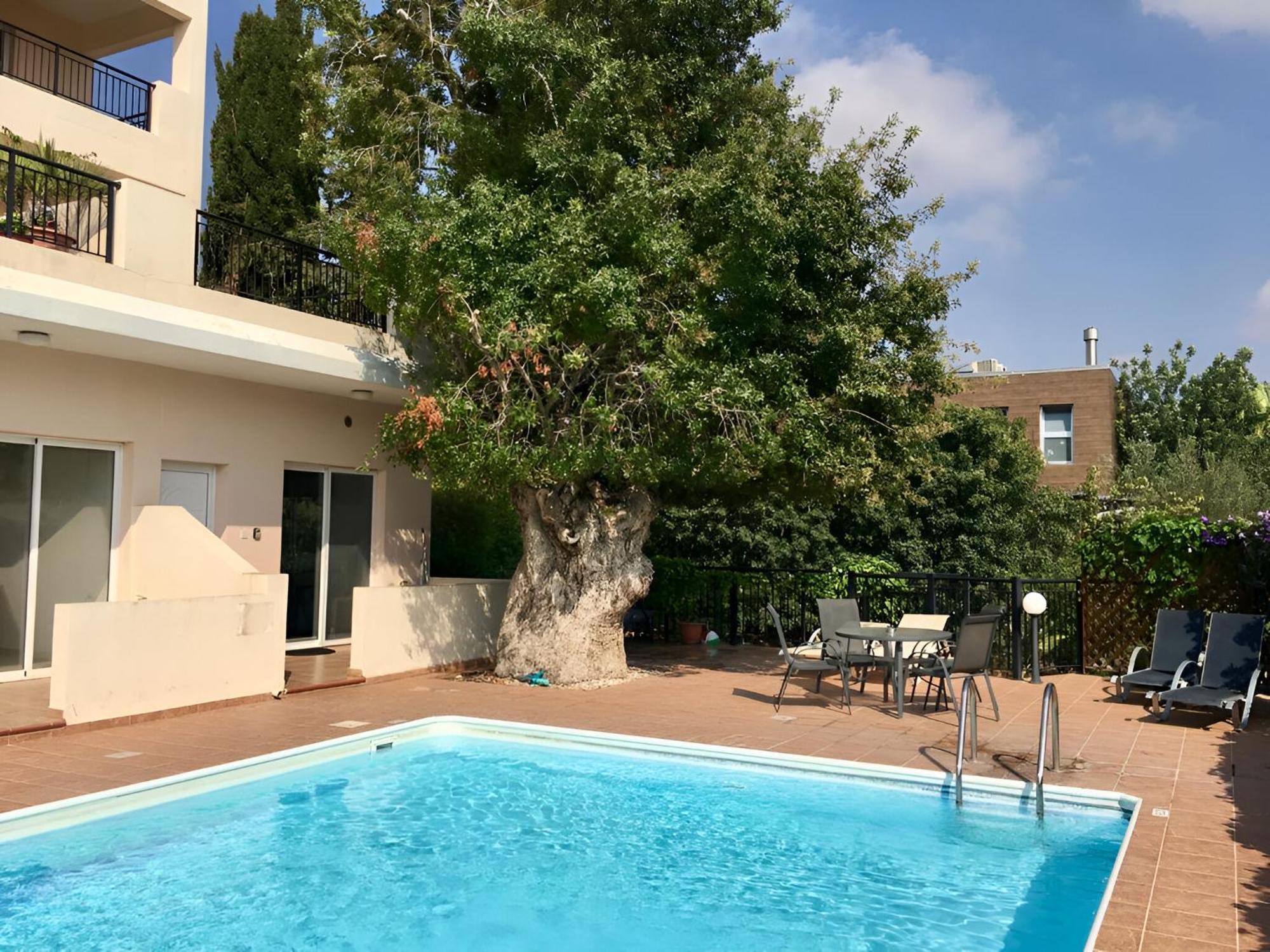 Peaceful Apartment With Double Bed - Oak Breeze Paphos Buitenkant foto